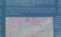 Rezervatia naturala muzeul Trovantilor Costesti poza